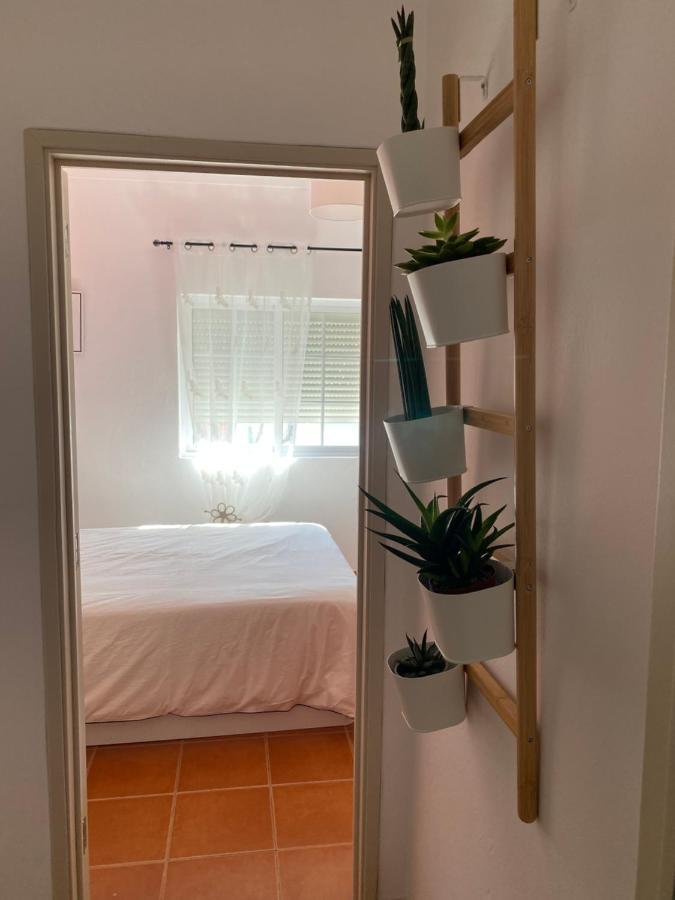 Apartamento Vicentino Vila Nova de Milfontes Luaran gambar