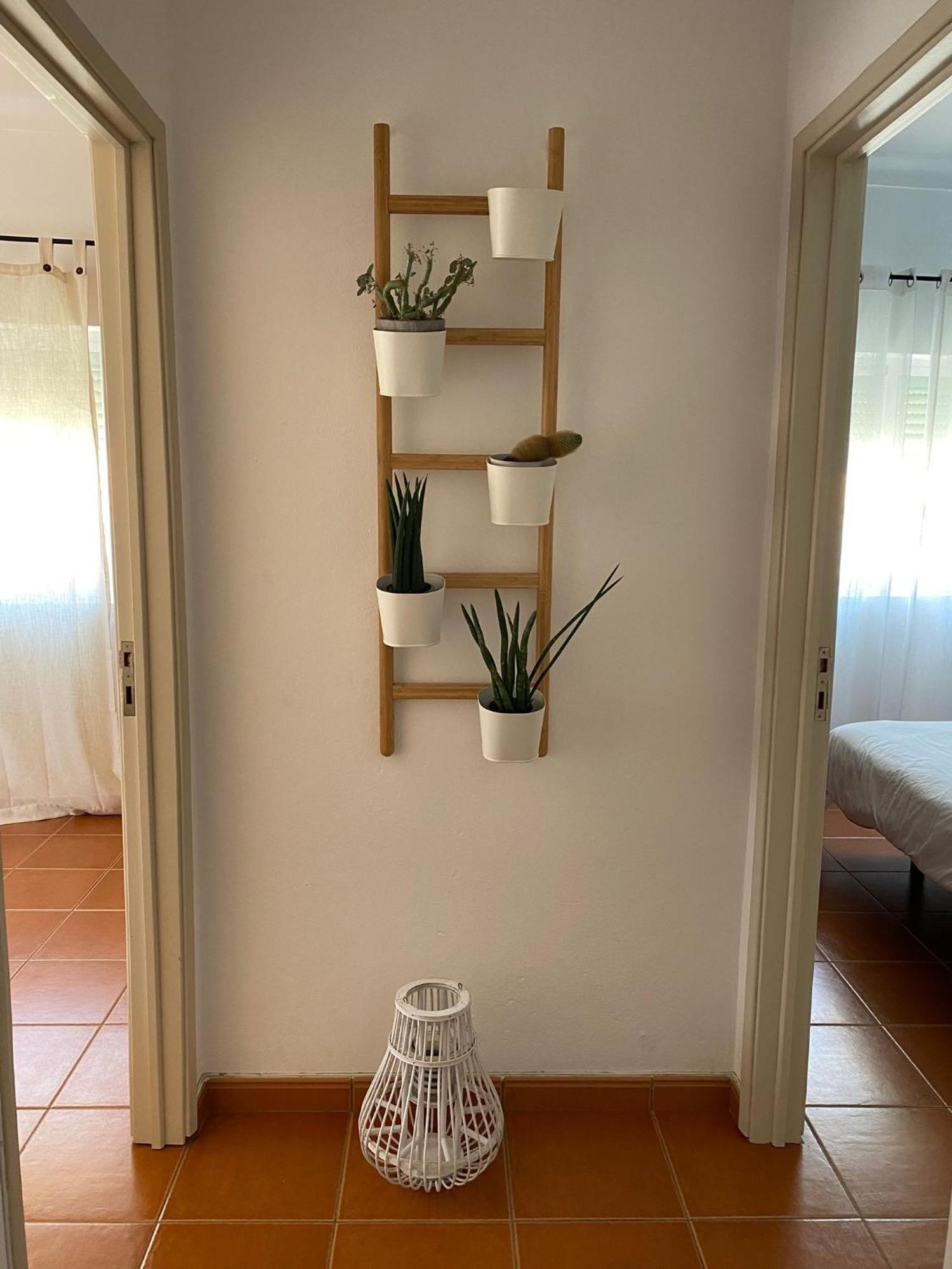 Apartamento Vicentino Vila Nova de Milfontes Luaran gambar
