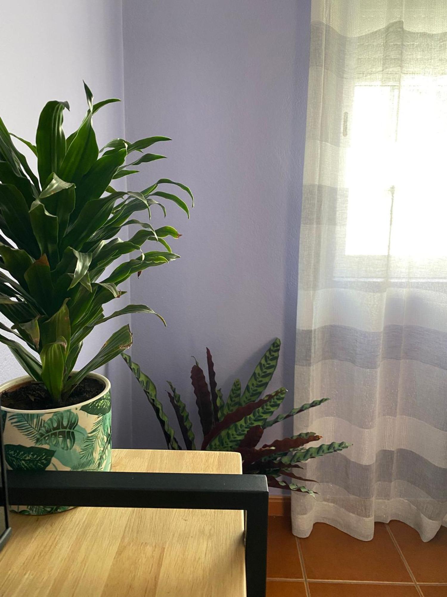 Apartamento Vicentino Vila Nova de Milfontes Luaran gambar